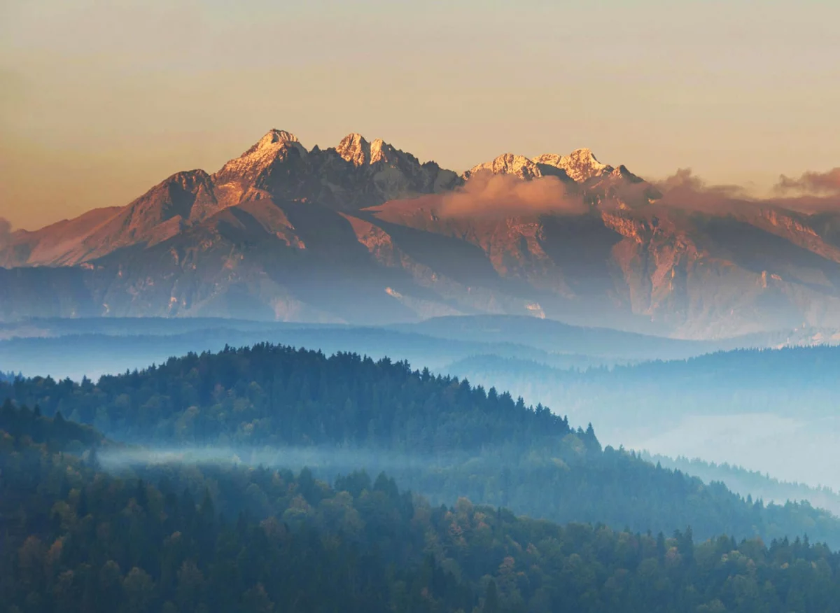 Mały balkon: 10 pomysłów na meble, rośliny i oświetlenie, które optycznie powiększą przestrzeń