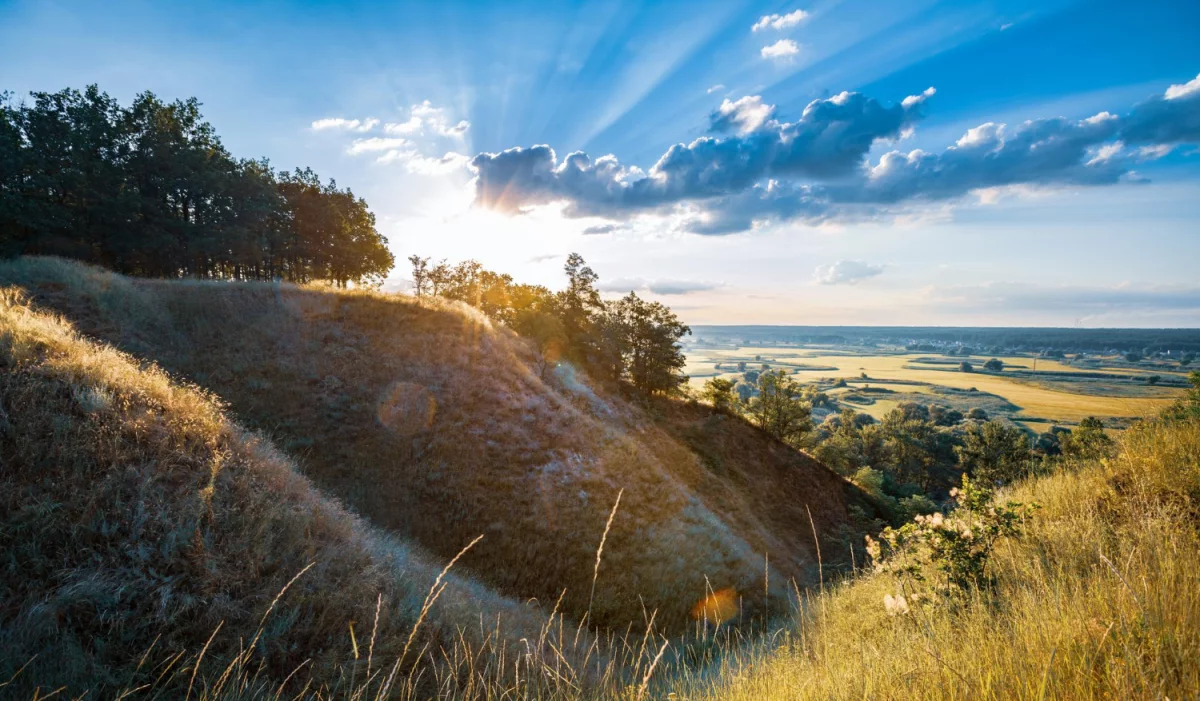 Jak bezpiecznie łączyć składniki aktywne w pielęgnacji skóry: praktyczny przewodnik (retinol, wit. C, AHA/BHA, niacynamid i kwasy) — co łączyć, czego unikać, przykładowe rutyny na dzień i noc