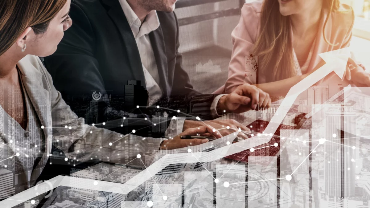 Kompletny przewodnik po usługach YLVA: oferta, ceny, opinie klientów i jak wybrać najlepszą opcję